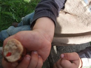 Bratwurst