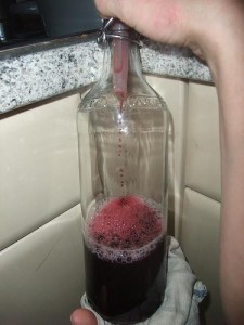 Holunderbeersaft
